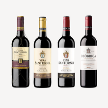 Load image into Gallery viewer, Bodegas Ramón de Ayala – Special Rioja Selection (12 Bottles)