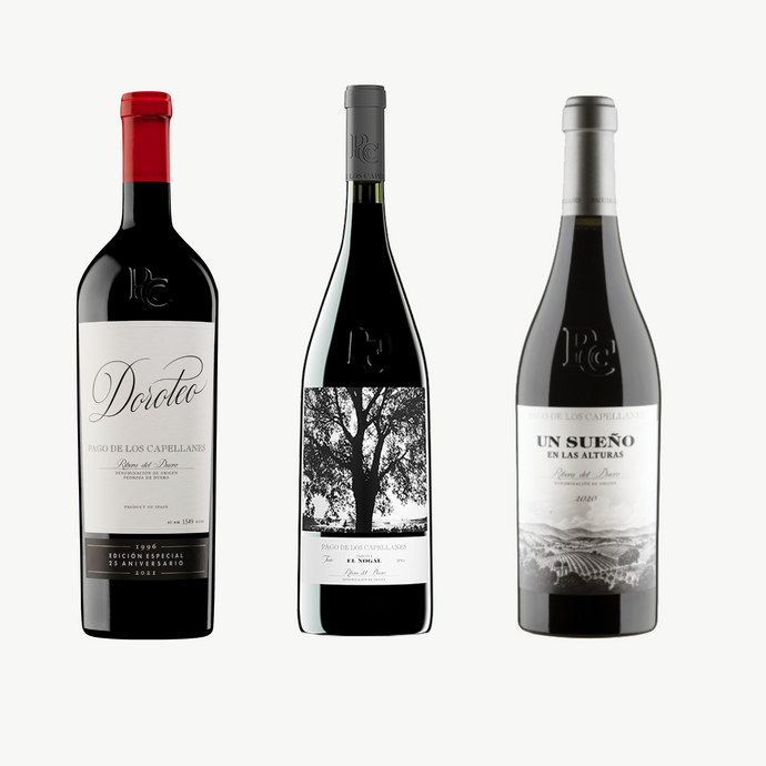 Pago de los Capellanes Trio – 3 Limited Production Wines, 2 Bottles Each